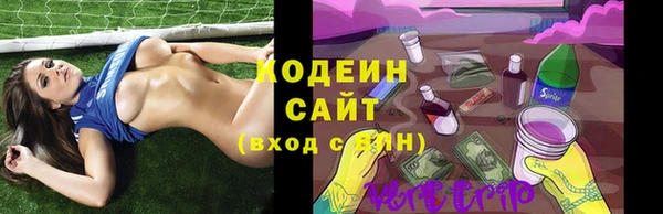 ГАЛЛЮЦИНОГЕННЫЕ ГРИБЫ Верея