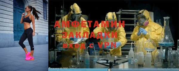 ГАЛЛЮЦИНОГЕННЫЕ ГРИБЫ Верея