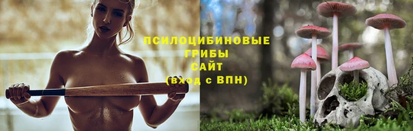 трава Верхний Тагил