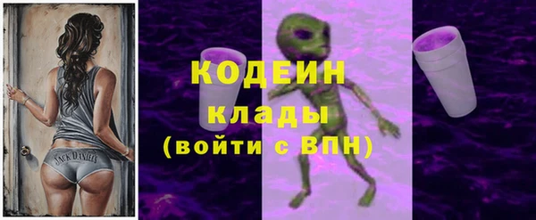 ГАЛЛЮЦИНОГЕННЫЕ ГРИБЫ Верея