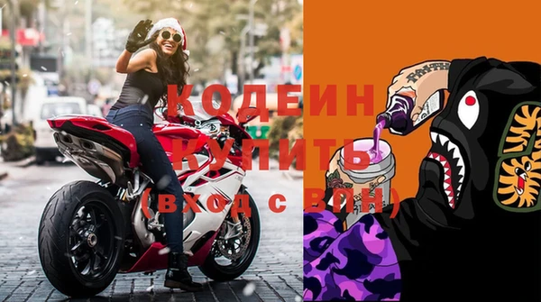 ГАЛЛЮЦИНОГЕННЫЕ ГРИБЫ Верея